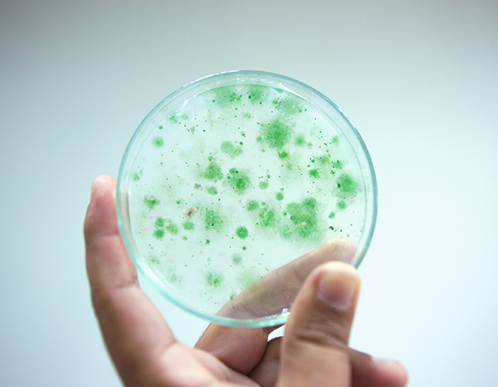 Salmonella Management Training Diversey Hygiene Academy